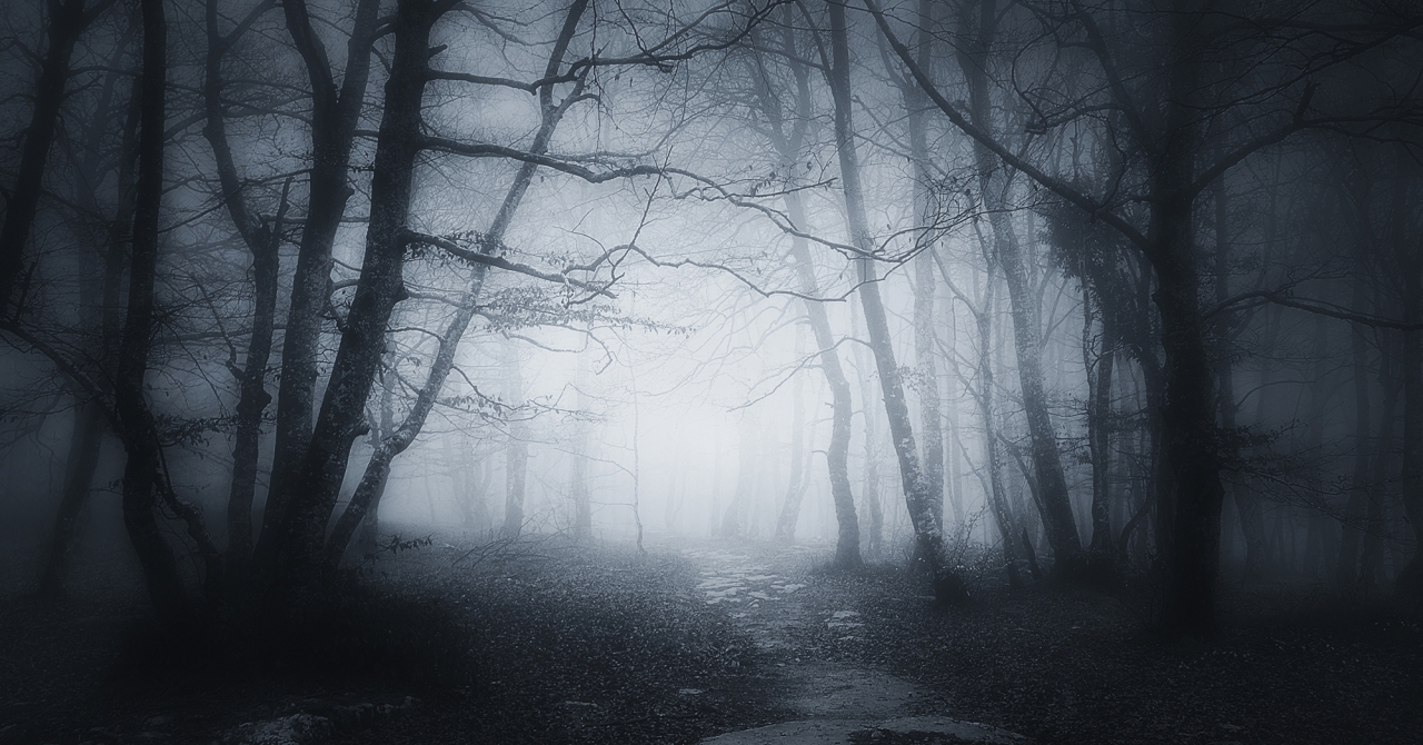 Lost Forest at Halloween Walibi Belgium